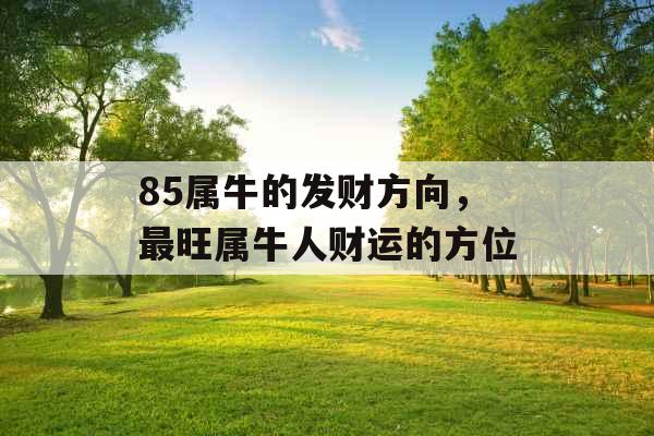 85属牛的发财方向,最旺属牛人财运的方位 85属牛的发财方向,最旺属牛人财运的方位