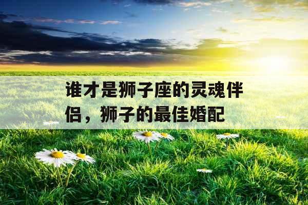 谁才是狮子座的灵魂伴侣，狮子的最佳婚配