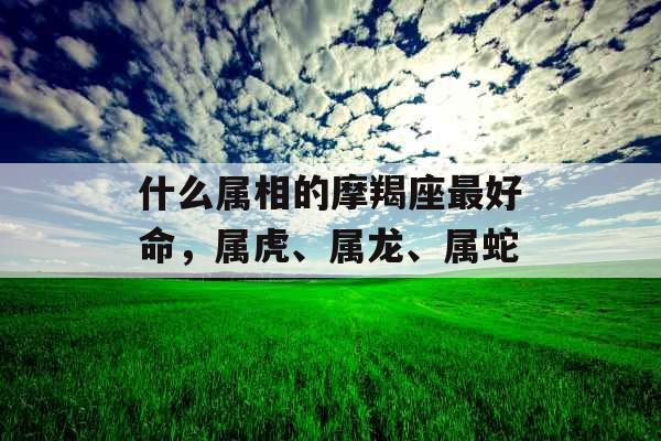 什么属相的摩羯座最好命，属虎、属龙、属蛇