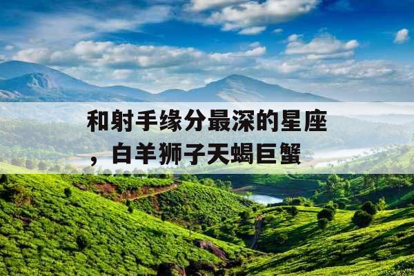 和射手缘分最深的星座，白羊狮子天蝎巨蟹