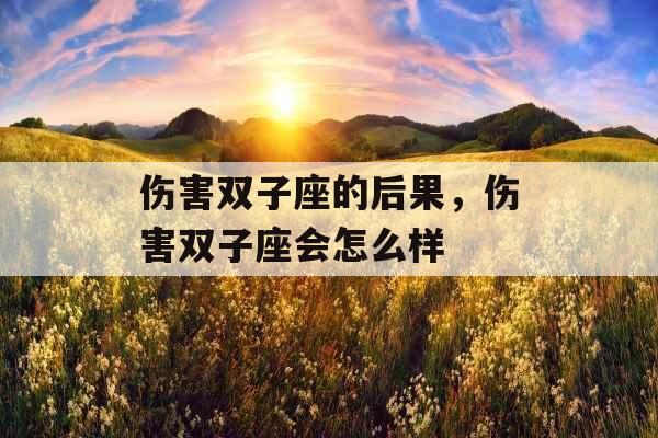 伤害双子座的后果，伤害双子座会怎么样