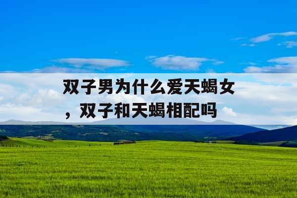 双子男为什么爱天蝎女，双子和天蝎相配吗