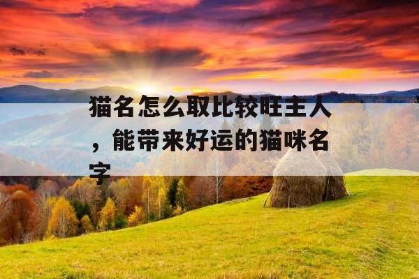 猫名怎么取比较旺主人，能带来好运的猫咪名字
