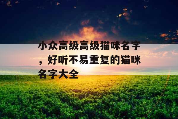小众高级高级猫咪名字，好听不易重复的猫咪名字大全