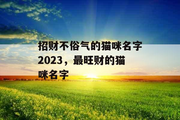 招财不俗气的猫咪名字2023，最旺财的猫咪名字