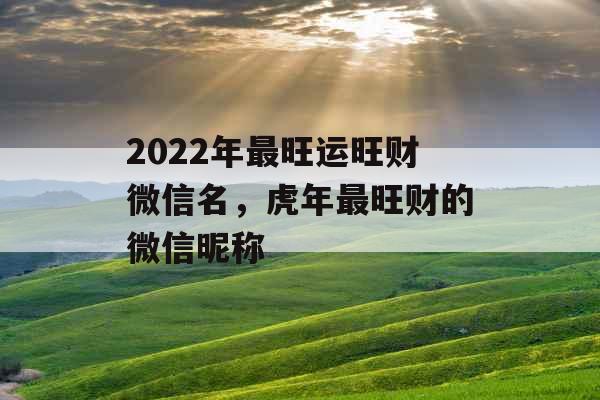 2022年最旺运旺财微信名，虎年最旺财的微信昵称
