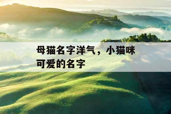 母猫名字洋气，小猫咪可爱的名字