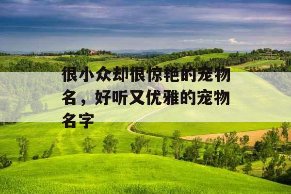 很小众却很惊艳的宠物名，好听又优雅的宠物名字