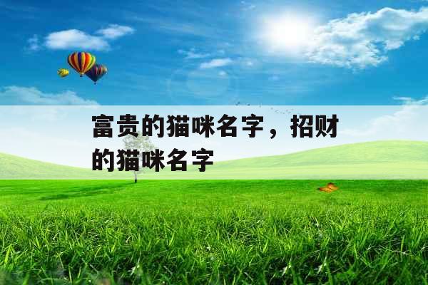 富贵的猫咪名字，招财的猫咪名字