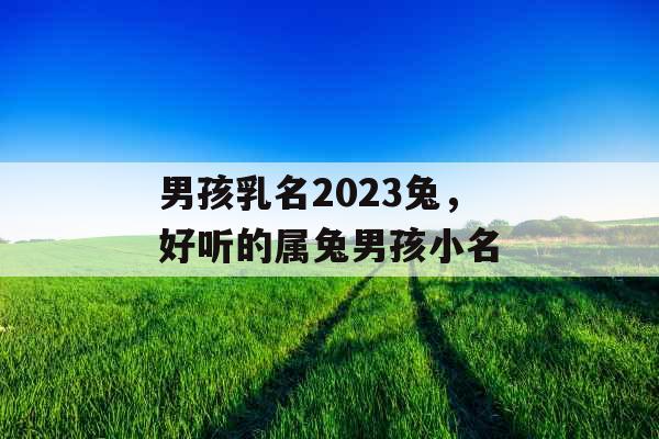男孩乳名2023兔，好听的属兔男孩小名