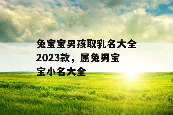 兔宝宝男孩取乳名大全2023款，属兔男宝宝小名大全