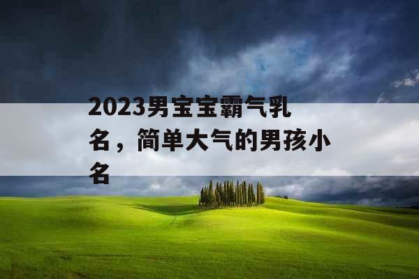 2023男宝宝霸气乳名，简单大气的男孩小名