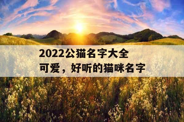 2022公猫名字大全可爱，好听的猫咪名字