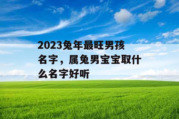 2023兔年最旺男孩名字，属兔男宝宝取什么名字好听