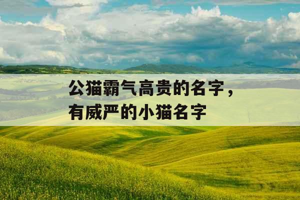 公猫霸气高贵的名字，有威严的小猫名字