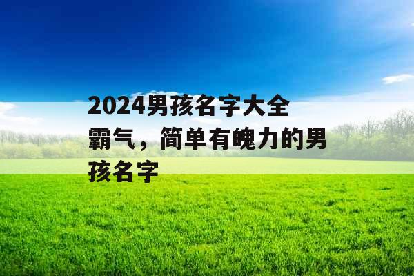 2024男孩名字大全霸气,简单有魄力的男孩名字 2024男孩名字大全霸气,简单有魄力的男孩名字