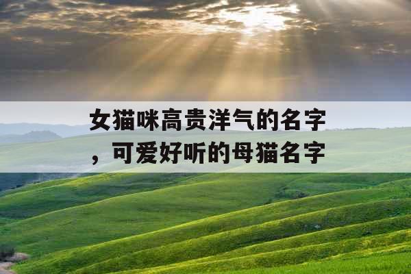 女猫咪高贵洋气的名字,可爱好听的母猫名字 女猫咪高贵洋气的名字,可爱好听的母猫名字