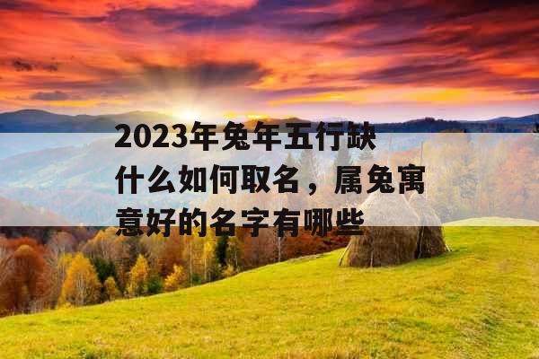 2023年兔年五行缺什么如何取名，属兔寓意好的名字有哪些