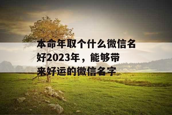 本命年取个什么微信名好2023年，能够带来好运的微信名字