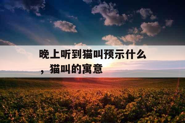 晚上听到猫叫预示什么，猫叫的寓意