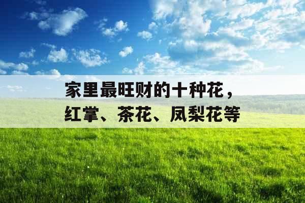 家里最旺财的十种花,红掌、茶花、凤梨花等