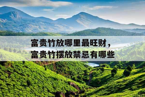 富贵竹放哪里最旺财,富贵竹摆放禁忌有哪些 富贵竹放哪里最旺财,富贵竹摆放禁忌有哪些