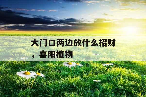 大门口两边放什么招财,喜阳植物 大门口两边放什么招财,喜阳植物