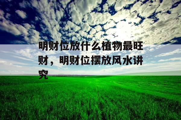 明财位放什么植物最旺财,明财位摆放风水讲究 明财位放什么植物最旺财,明财位摆放风水讲究