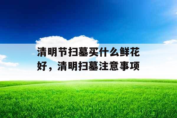 清明节扫墓买什么鲜花好,清明扫墓注意事项 清明节扫墓买什么鲜花好,清明扫墓注意事项