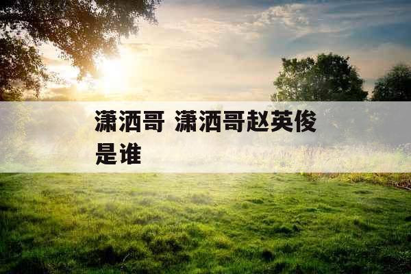 潇洒哥 潇洒哥赵英俊是谁