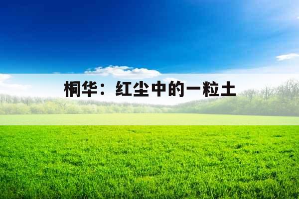 桐华：红尘中的一粒土 