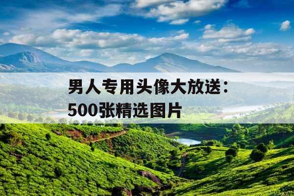 男人专用头像大放送:500张精选图片