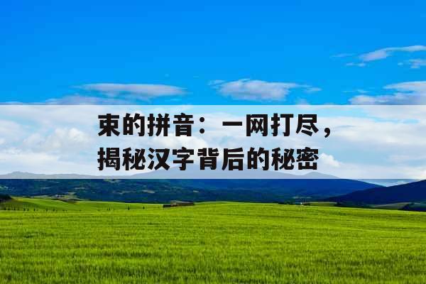束的拼音：一网打尽，揭秘汉字背后的秘密 