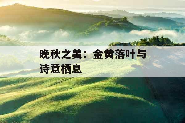 晚秋之美：金黄落叶与诗意栖息 