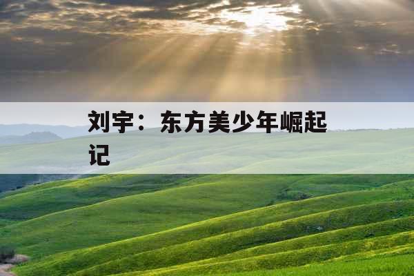 刘宇：东方美少年崛起记 