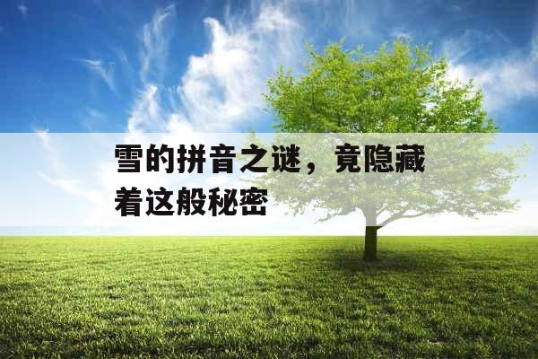 雪的拼音之谜，竟隐藏着这般秘密 