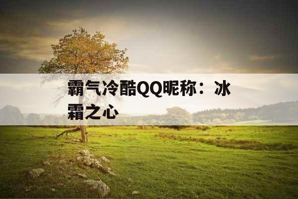 霸气冷酷QQ昵称：冰霜之心 