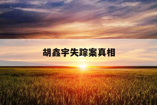 胡鑫宇失踪案真相