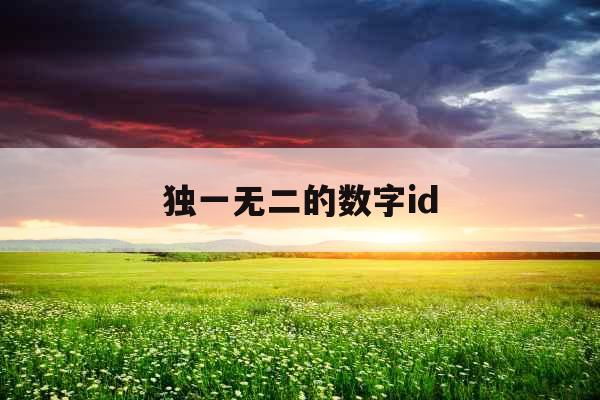 独一无二的数字id