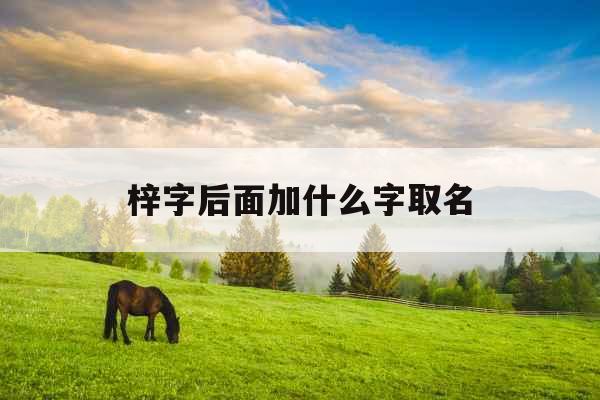 梓字后面加什么字取名