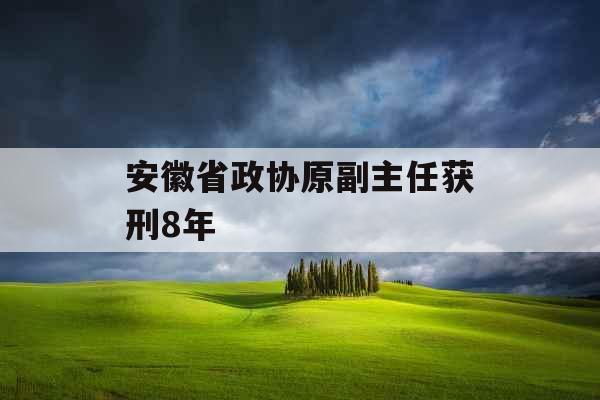 安徽省政协原副主任获刑8年