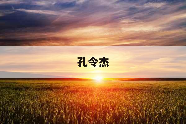 孔令杰