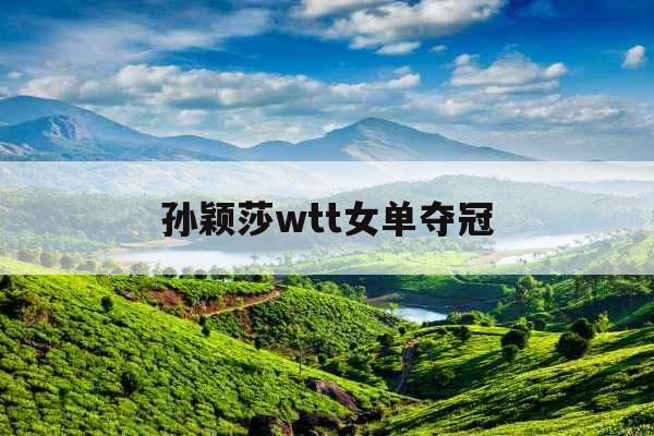 孙颖莎wtt女单夺冠