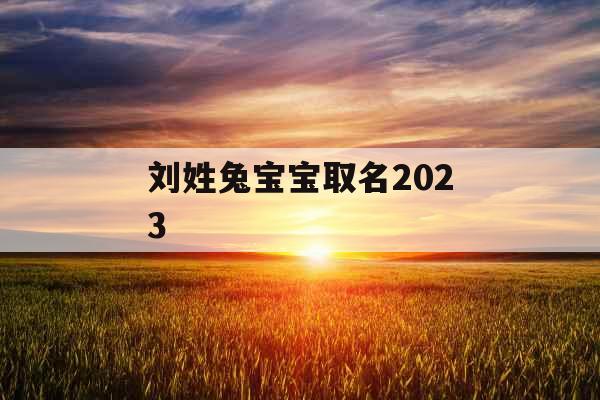 刘姓兔宝宝取名2023