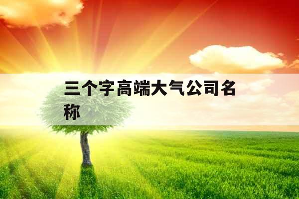 三个字高端大气公司名称