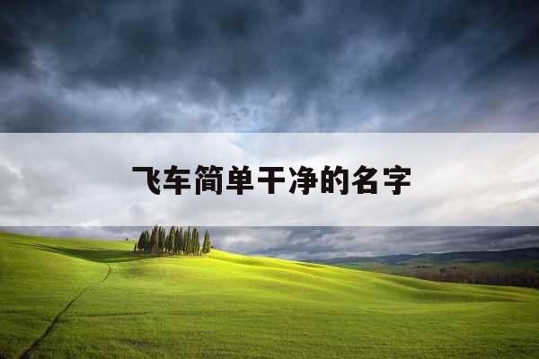 飞车简单干净的名字