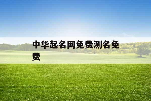 中华起名网免费测名免费