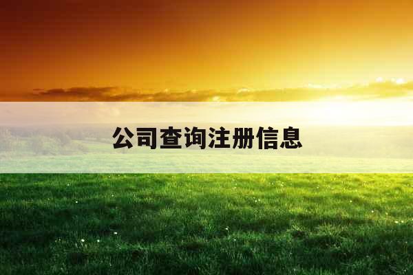 公司查询注册信息
