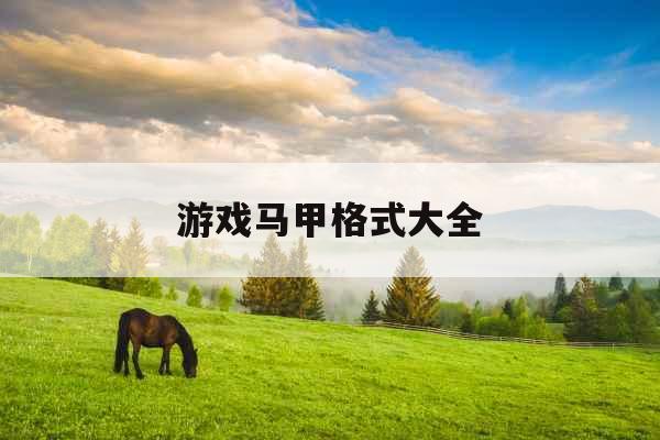 游戏马甲格式大全