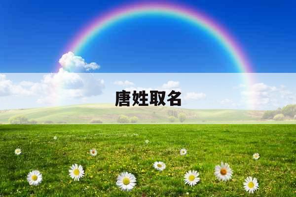 唐姓取名